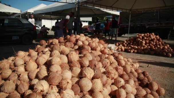 Conde Bahia Brazil Oktober 2021 Tørr Kokoshandel Marked Byen Conde – stockvideo