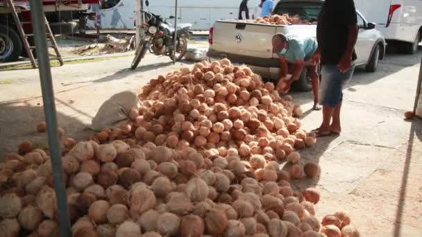 Conde Bahia Brasil Octubre 2021 Comercio Coco Seco Una Feria — Vídeo de stock