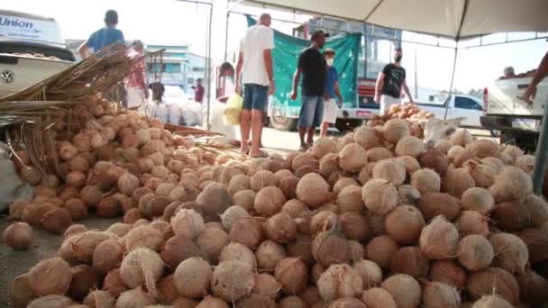 Conde Bahia Brazil Października 2021 Wytrawny Handel Kokosami Targach Conde — Wideo stockowe
