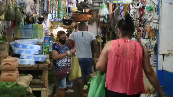 Salvador Bahia Brésil Novembre 2021 Vue Sur Foire Sao Joaquim — Video