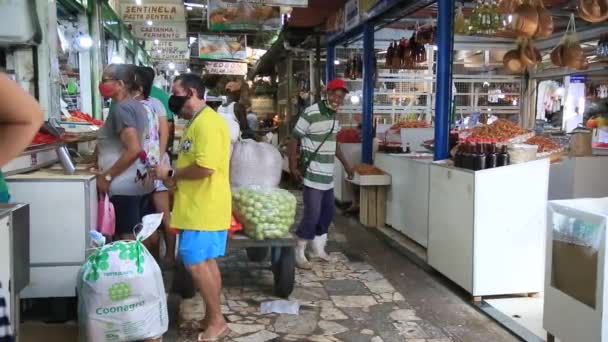 Salvador Bahia Brasilien November 2021 Udsigt Til Sao Joaquim Messen – Stock-video