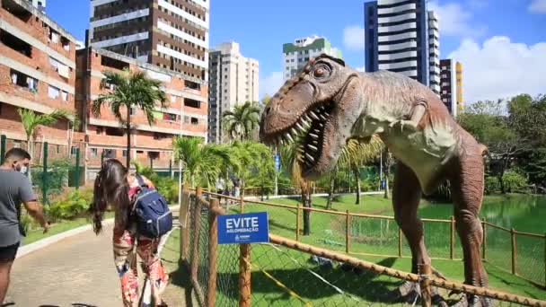 2021年11月10日 在萨尔瓦多市的帕克拉古阿多斯恐龙保护区 人们在霸王龙的复制品旁边看到了一些人 — 图库视频影像