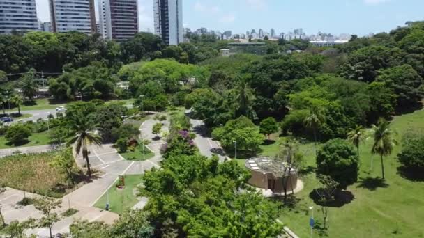 Salvador Bahia Brasil Noviembre 2021 Vista Aérea Árboles Pasto Parque — Vídeos de Stock