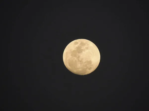 Salvador Bahia Brasilien November 2021 Blick Auf Den Vollmond Himmel — Stockfoto