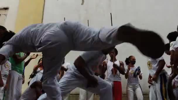 Salvador Bahia Brasil Novembro 2021 Capoeiristas Lors Une Performance Centre — Video