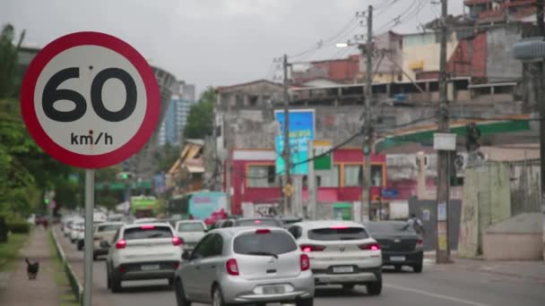 Salvador Bahia Brazil Listopad 2021 Znak Drogowy Informuje Maksymalnej Prędkości — Wideo stockowe