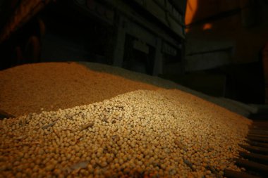 İlheus, Bahia, Brezilya - 19 Temmuz 2011: Güney Bahia 'nın Ilheus kentindeki Meshado limanında sevkiyat için soya fasulyesi yükleme.