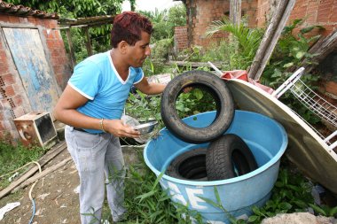 Itabuna, bahia, Brezilya - 5 Ocak 2012: Endemik ajan Güney Bahia 'da dang, chikungunya ve Zika hummasına neden olan Aedes aegypti sivrisineğinin foci ve larvalarını arıyor.