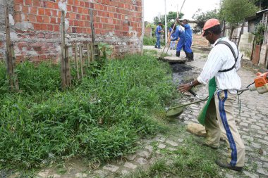 itabuna, bahia, brrazil - 5 Ocak 2012: Itabuna şehrindeki aedes aegypti sivrisineğinin çoğaldığı bir bölgede işçiler otları budamak için makine kullanıyor.