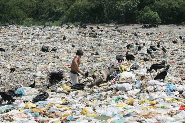 Eunápolis Bahia Brasil Março 2011 Coleta Material Para Reciclagem Abutres — Fotografia de Stock