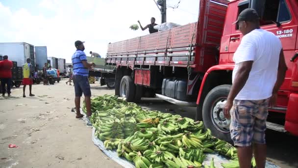 Salvador Bahia Brasil Noviembre 2021 Personas Trabajando Descarga Fruta Camión — Vídeos de Stock