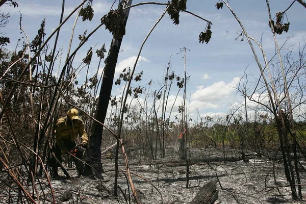 Prado Bahia Brasil Diciembre 2009 Miembros Brigada Combaten Incendio Forestal — Foto de Stock
