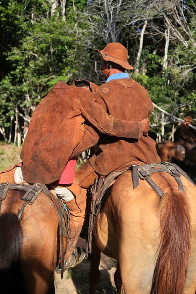 Conde Bahia Brasile Gennaio 2022 Cowboy Costume Tipico Pelle Partecipano — Foto Stock