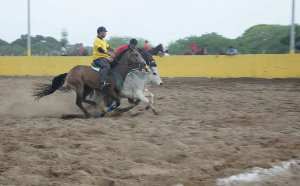 Conde Bahia Brasil Janeiro 2022 Cowboys Participam Campeonato Vaquejada Cidade — Fotografia de Stock