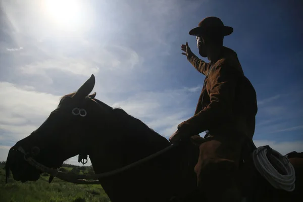 Conde Bahia Brasil January 2022 Cowboy Wearing Traditional Leather Clothes — Foto Stock