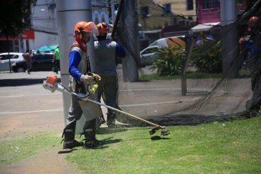 salvador, bahia, brazil - january 12, 2022: A public cleaning worker uses a lawn mower to cut grass in a square in the city of Salvador.