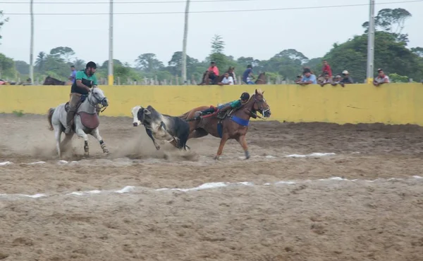 Conde Bahia Brasil Janeiro 2022 Cowboys Participam Campeonato Vaquejada Cidade — Fotografia de Stock