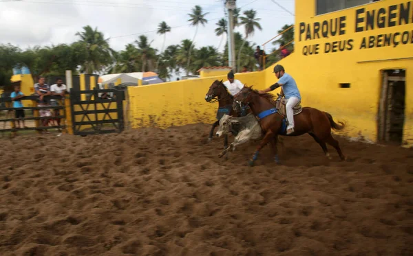 Conde Bahia Brasil Janeiro 2022 Cowboys Participam Campeonato Vaquejada Cidade — Fotografia de Stock