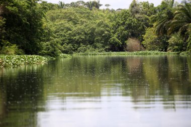Lauro de Freitas, Bahia, Brezilya - 20 Kasım 2017: Lauro de Freitas bölgesindeki Joanes nehri manzarası. Nehrin suyuna Salvador 'un metropoliten bölgesinden yerel kanalizasyon ulaşır..