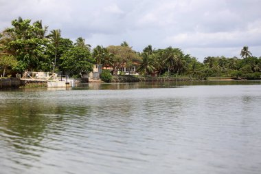 Lauro de Freitas, Bahia, Brezilya - 20 Kasım 2017: Lauro de Freitas bölgesindeki Joanes nehri manzarası. Nehrin suyuna Salvador 'un metropoliten bölgesinden yerel kanalizasyon ulaşır..