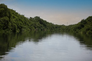 Lauro de Freitas, Bahia, Brezilya - 20 Kasım 2017: Lauro de Freitas bölgesindeki Joanes nehri manzarası. Nehrin suyuna Salvador 'un metropoliten bölgesinden yerel kanalizasyon ulaşır..