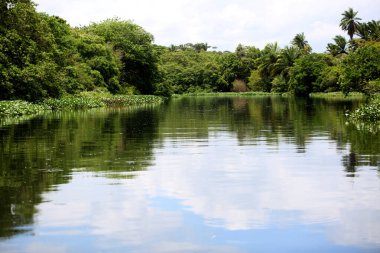 Lauro de Freitas, Bahia, Brezilya - 20 Kasım 2017: Lauro de Freitas bölgesindeki Joanes nehri manzarası. Nehrin suyuna Salvador 'un metropoliten bölgesinden yerel kanalizasyon ulaşır..
