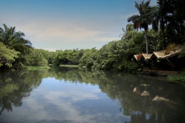 Lauro de Freitas, Bahia, Brezilya - 20 Kasım 2017: Lauro de Freitas bölgesindeki Joanes nehri manzarası. Nehrin suyuna Salvador 'un metropoliten bölgesinden yerel kanalizasyon ulaşır..
