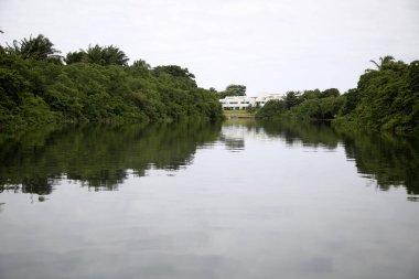 Lauro de Freitas, Bahia, Brezilya - 20 Kasım 2017: Lauro de Freitas bölgesindeki Joanes nehri manzarası. Nehrin suyuna Salvador 'un metropoliten bölgesinden yerel kanalizasyon ulaşır..