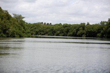 Lauro de Freitas, Bahia, Brezilya - 20 Kasım 2017: Lauro de Freitas bölgesindeki Joanes nehri manzarası. Nehrin suyuna Salvador 'un metropoliten bölgesinden yerel kanalizasyon ulaşır..