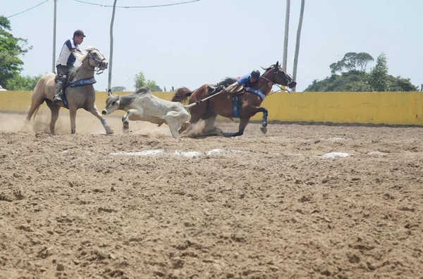 Conde Bahia Braziliaans Januari 2022 Cowboys Nemen Deel Aan Een — Stockfoto