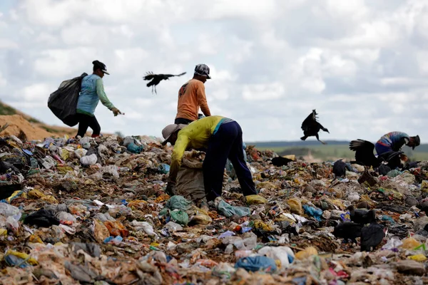 Alagoinhas Bahia Brazil May 2019 People Seen Collecting Material Recycling — Stock Photo, Image