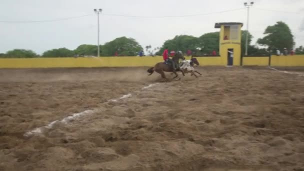 Conde Bahia Brazil Enero 2022 Los Vaqueros Participan Campeonato Vaquejada — Vídeos de Stock