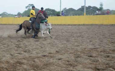 Conde, Bahia, Brezilya - 7 Ocak 2022: Kovboylar Conde şehrinde düzenlenen Vaquejada şampiyonasına katılırlar. Etkinlik Kuzeydoğu Brezilya 'da bir kültür geleneğidir..