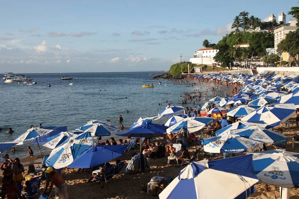 Salvador Bahia Brasil Fevereiro 2022 Pessoas Praia Porto Barra Salvador — Fotografia de Stock