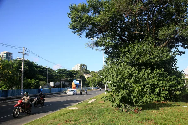 Salvador Bahia Brezilya Şubat 2022 Avenida Acm Nin Merkezi Alanı — Stok fotoğraf