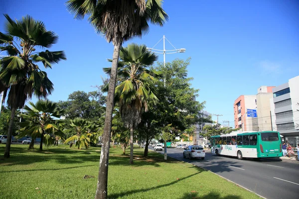 ブラジルのバイーア州サラドール 2022年2月16日 Brt輸送システムの専用レーンが建設されるサルバドールのルカイア地域にあるAcmアベニューの中央サイト — ストック写真