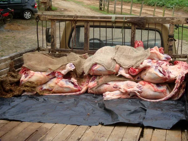 2010年9月10日ブラジル バイーア州ユニオンポリス 健康監視検査官は 家畜の屠殺からボルビナ肉を押収し 衛生的な埋め立て地で廃棄した — ストック写真