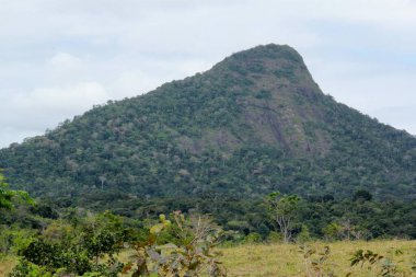 Porto seguro, bahia, brezil- 20 Ekim 2012: Bahia 'nın güneyindeki Porto Seguro belediyesindeki Monte Pascoal National Park' ın manzarası.