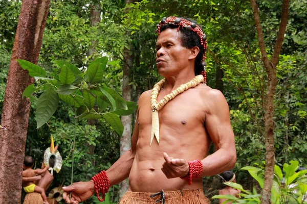 Porto Seguro Bahia Brasil Outubro 2012 Índios Etnia Pataxo São — Fotografia de Stock