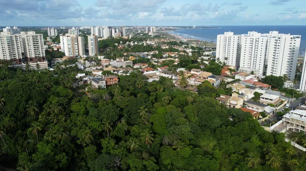 Salvador Bahia Brahbad Сентября 2022 Года Вид Парк Метфетано Питуаку — стоковое фото