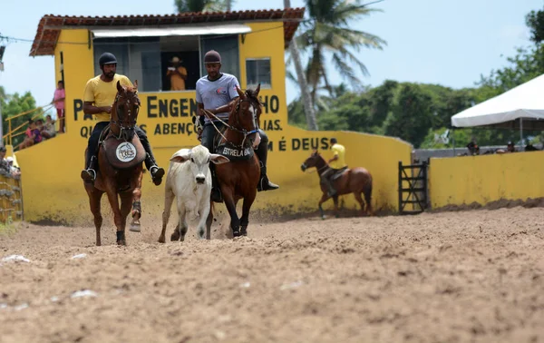 Conde Bahia Braziliaans Januari 2022 Cowboys Nemen Deel Aan Een — Stockfoto