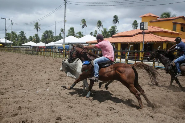 Conde Bahia Brasil Janeiro 2022 Cowboys Participam Campeonato Vaquejada Cidade — Fotografia de Stock