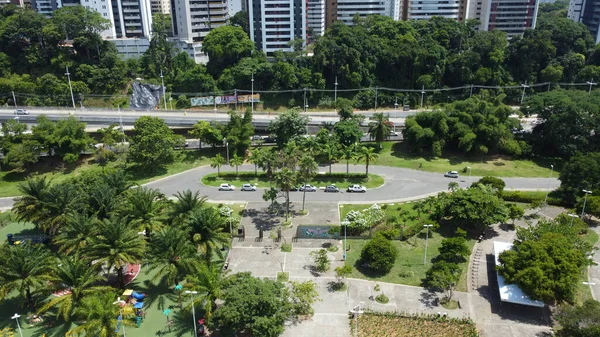 Salvador Bahia Brasilien Januar 2022 Blick Auf Den Parque Cidade — Stockfoto