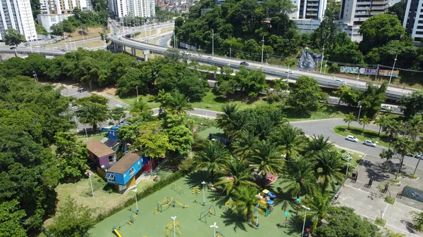 Salvador Bahia Brazil Januari 2022 Utsikt Över Parque Cidade Salvador — Stockfoto