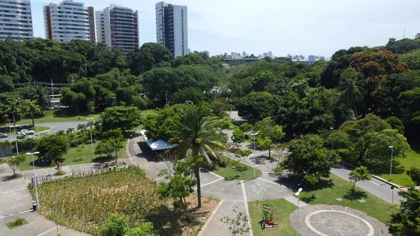 Salvador Bahia Braziliaans Januari 2022 Zicht Parque Cidade Salvador — Stockfoto