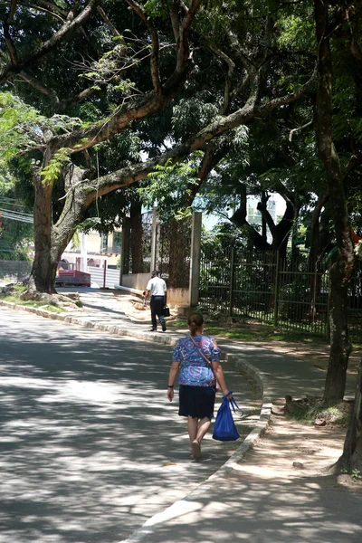Salvador Bahia Brasilien Januar 2022 Blick Auf Den Parque Cidade — Stockfoto