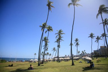 Salvador, Bahia, Brezilya - 20 Mart 2022: Salvador kentindeki Jardim de Alah bölgesinin yeşil manzarası.