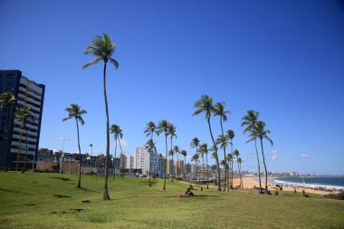 Salvador, Bahia, Brezilya - 20 Mart 2022: Salvador kentindeki Jardim de Alah bölgesinin yeşil manzarası.