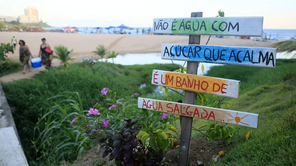 Salvador Bahia Brasil Fevereiro 2022 Área Jardim Praia Paciencia Cidade — Fotografia de Stock