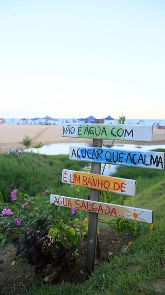 Salvador Bahia Brazil Februarie 2022 Zonă Grădină Praia Paciencia Orașul — Fotografie, imagine de stoc